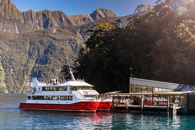 Milford Sound Nature Cruise 